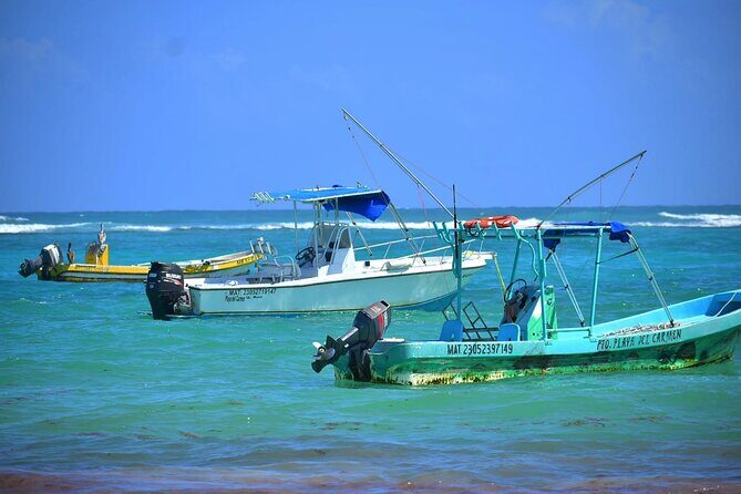 5 Hours Mayan Snorkeling Experience in Tulum - FAQs