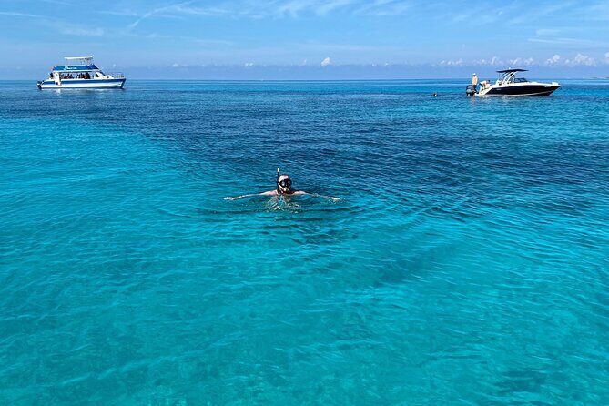 5 Hours Pigs and Turtles with Beach Stop in Bahamas - Key Points