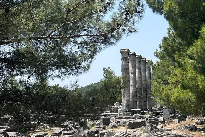 5 Hours Priene Miletos Didyma Customizable Private Tour - FAQ