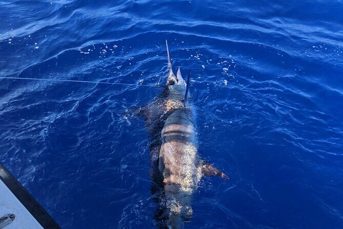 5 Hours Private Fishing Charter in Kailua-Kona - Authentic Feedback from Guests