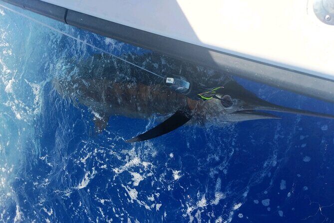 5 Hours Private Fishing Charter in Kailua-Kona - Practical Tips for Future Fishers
