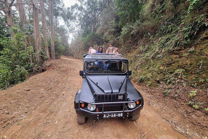 5 Hours Private tour To Porto Moniz, Rock pools, waterfalls - The Value of a Private Guided Experience