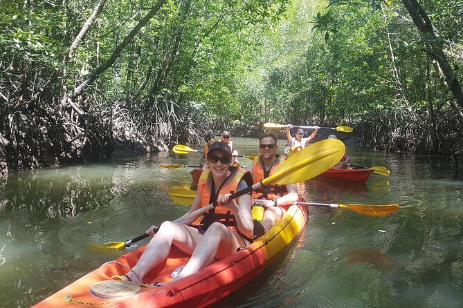 5 Hours Sharing Basis Kilim Mangrove Kayaking Tour - The Experience Itself: What to Expect