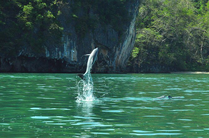 5 Hours Sharing Basis Kilim Mangrove Safari Boat Tour in Langkawi - The Sum Up