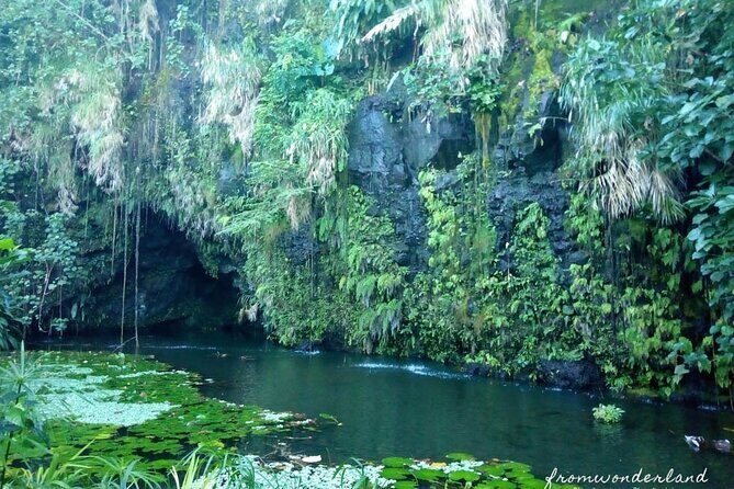 5 Hours Tahiti Island Tour - West and East Coast - The Value of this Tour