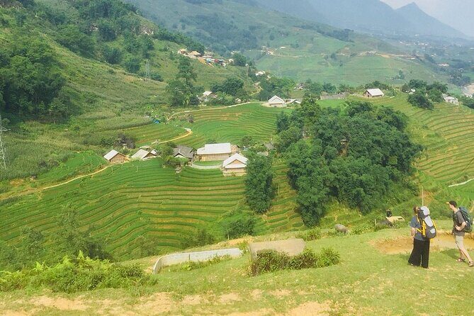 5 Hours Trekking with Terraced Rice Field in Sapa - Why This Tour Works for Travelers