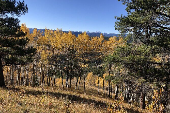 5 hours Winter Wonderland Guided Hike to Fullerton Loop - Summary: Who Should Consider This Experience?