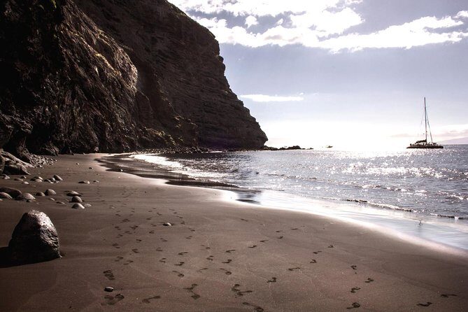 5 hrs. Watching and listening whales and dolphins visiting Los Gigantes - Value and Practical Considerations