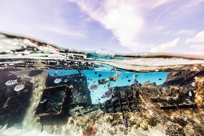 5-in-1 Cancun Snorkeling Tour with Sea Life & Transport Included - Authentic Experiences & Authentic Guides