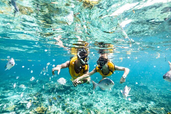 5-in-1 Cancun Snorkeling Tour with Sea Life & Transport Included - Overall Value and Who It’s Best For