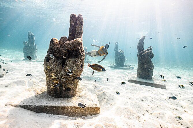 5-in-1 Cancun Snorkeling Tour with Sea Life & Transport Included - FAQs