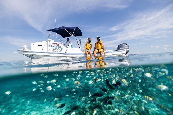 5-in-1 Cancun Snorkeling: Turtles, Reef, Musa, Shipwreck, Cenote - A Deep Dive into Cancun’s 5-in-1 Snorkeling Tour