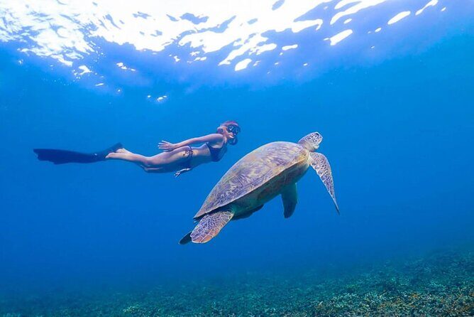 5 Islands Full-Day Tour Around Koh Tao and Koh Nangyuan - The Value of Small Group Tours