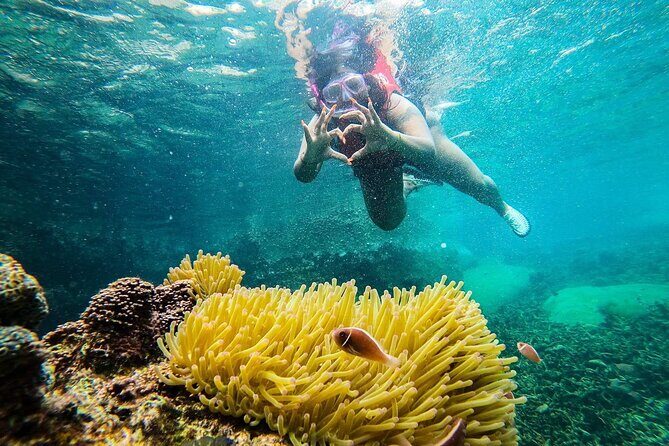 5 Islands Full-Day Tour Around Koh Tao and Koh Nangyuan - Practical Details and Considerations