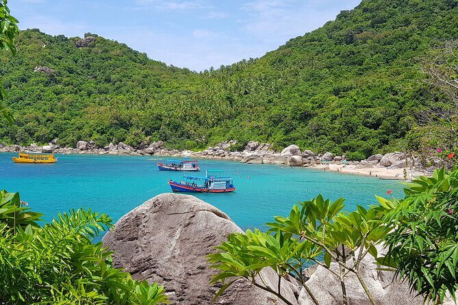 5 Islands Full-Day Tour Around Koh Tao and Koh Nangyuan - Who Will Love This Tour?