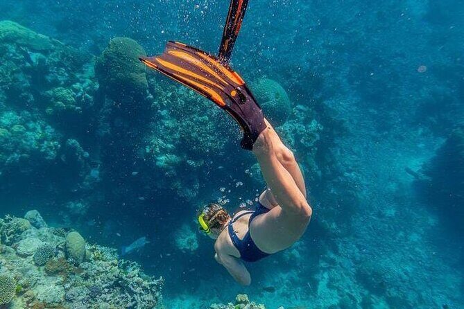 5 islands tour to rosario Islands with snorkeling activity! - Exploring the Rosario Islands Tour: What to Expect