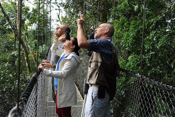 5-night Private Luxury Tour in Costa Rica Pickup Included - Day 6: Return to San José