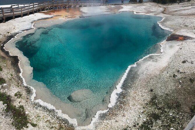 5 Person Full Day PRIVATE Yellowstone Tour- Picnic, Binoculars, Scope, Huge Van - Discover Yellowstone in Comfort and Style: A Private Full-Day Tour from Jackson Hole