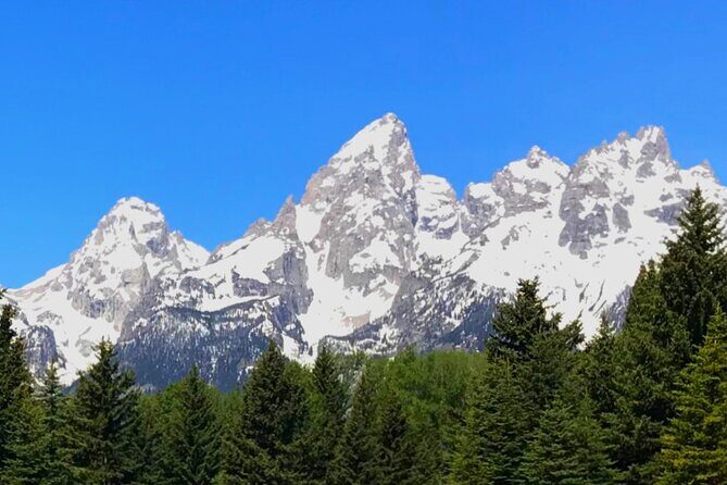 5 Person Full Day PRIVATE Yellowstone Tour- Picnic, Binoculars, Scope, Huge Van - Final Thoughts