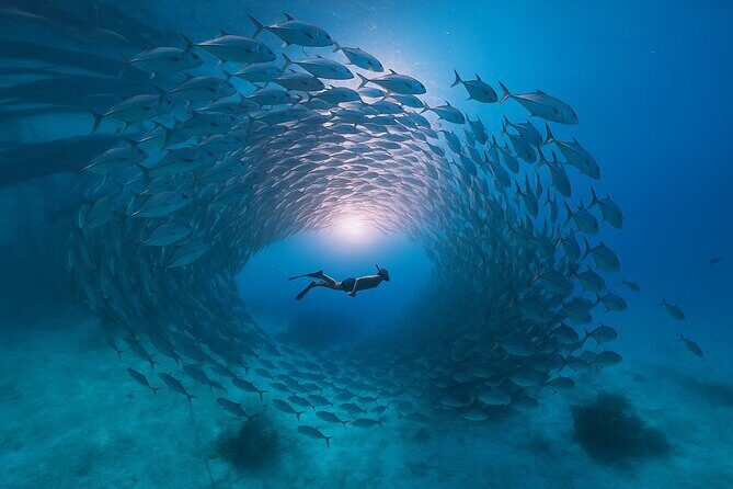 5 Secret Gili Snorkeling & Hoping Island from Gili Gede to Asahan - Key Points