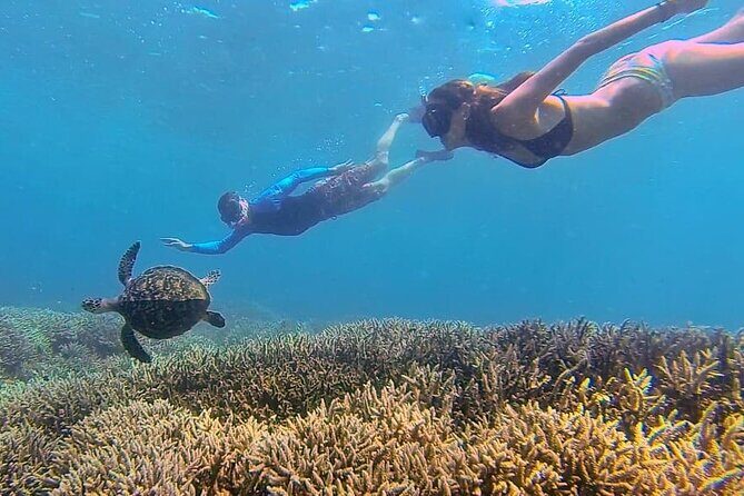 5 Secret Gili Snorkeling & Hoping Island from Gili Gede to Asahan - An In-Depth Look at the Gili Islands Snorkeling Tour