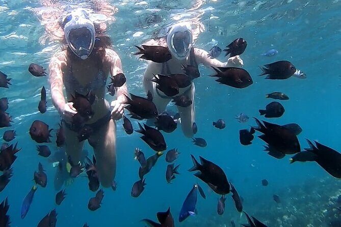 5 Secret Gili Snorkeling & Hoping Island from Gili Gede to Asahan - FAQ