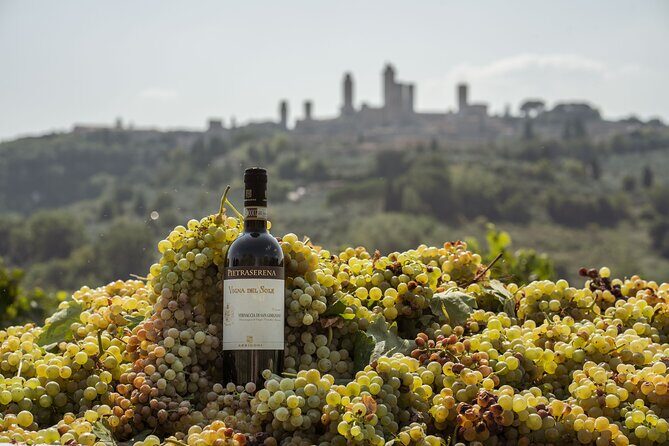 5 Wine Tastings in San Gimignano - FAQs