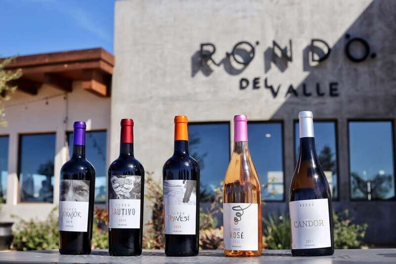 5 wines Tastings with Tour in Valle de Guadalupe Winery - A Closer Look at What to Expect