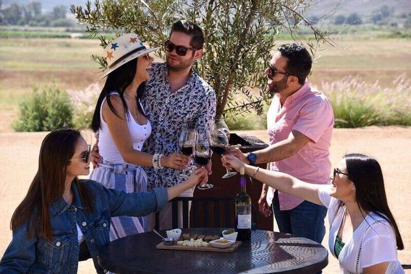 5 wines Tastings with Tour in Valle de Guadalupe Winery - Practical Tips for Visitors