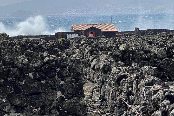 500 years of vines and 300,000 years of island, an infinite story - Key Points