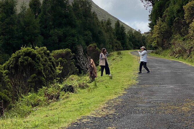 500 years of vines and 300,000 years of island, an infinite story - What We Appreciate About This Tour