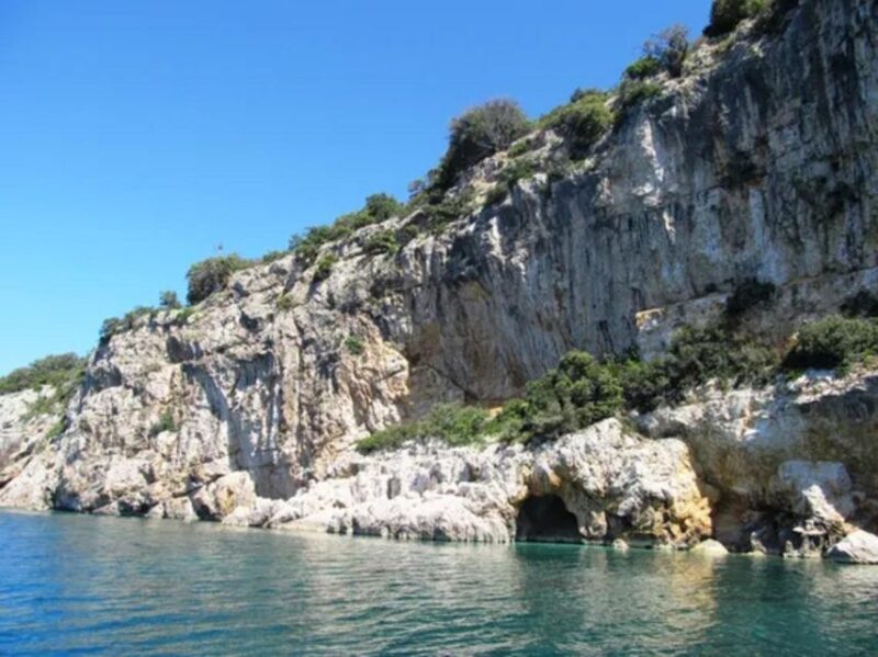 5,5h Plavnik Island: Swim & Snorkel with Capt. Bobo(Private) - Exploring Plavnik Island: A Private 5.5-Hour Boat Tour