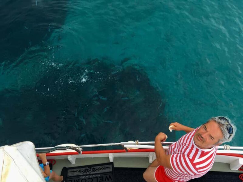 5,5h Plavnik Island: Swim & Snorkel with Capt. Bobo(Private) - The Sum Up