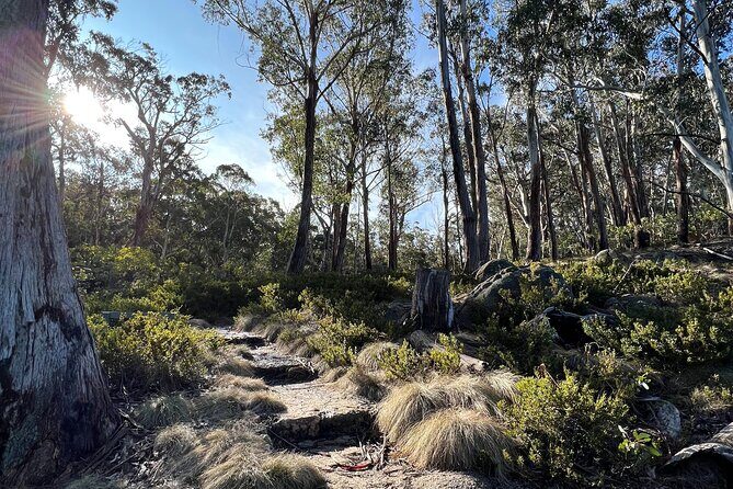 5G Australia eSIM - Up to 50GB or Unlimited Data; No Roaming Fees - Key Points