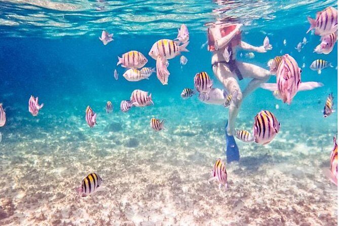 5H Private 44' Catamaran All-Inclusive - Tulum & Playa del Carmen - What the Reviews Say: Authentic Perspectives