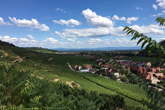5H00 ALSACE PRIVATE TOUR-Castle, Villages, Wine, Friendly Driver - Transportation and Logistics