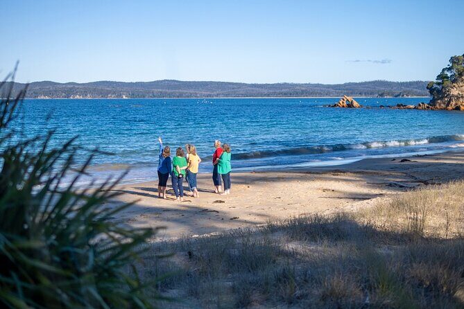 5hr Eden Tour in Nature; Beach, Lookout & National Park - Who Should Consider This Tour?