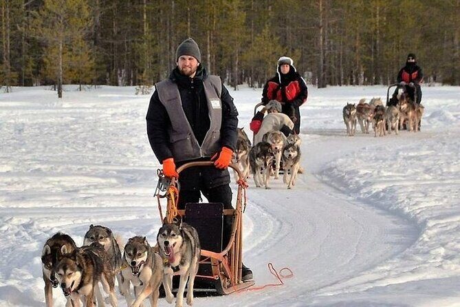 5KM Husky Sled Ride from Levi - Final Thoughts