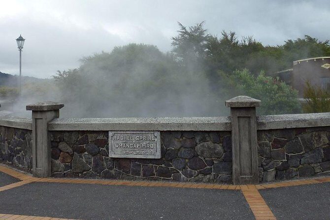 6.5 hour Small-Group Rotorua Naturally Shore Excursion - Tauranga - Key Points
