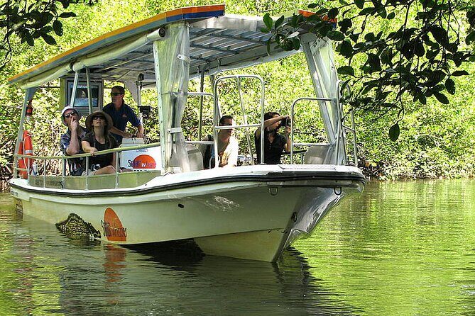 6-Day Best of Cairns Including the Great Barrier Reef, Kuranda and the Daintree Rainforest - A Deep Dive into the Cairns 6-Day Tour