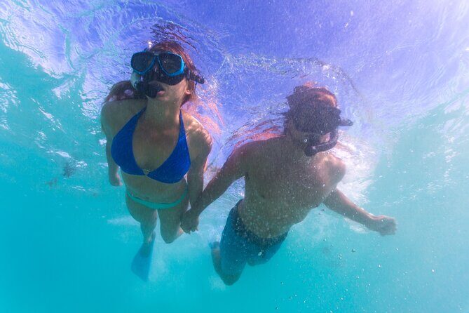 6-Day Coral Coaster from Perth to Exmouth One-Way via Monkey Mia Ningaloo Reef - In-Depth Review: Exploring Western Australias Coral Coast