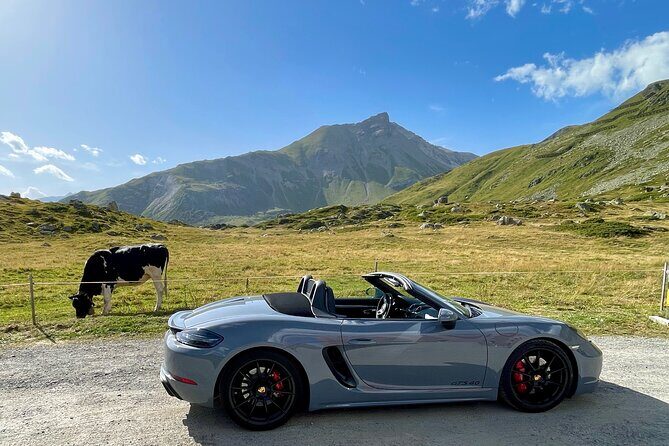 6-Day Drive 9 Swiss Passes, Glacier Express Route +Stelvio, Italy - What Makes This Tour Stand Out?