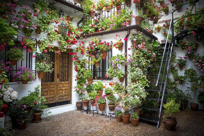 6-Day Guided Tour Andalusia & Madrid from Lisbon - Who Will Love This Tour?