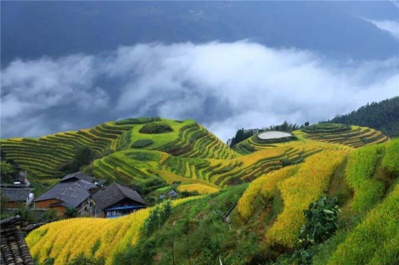 6-Day Private Tour: Guilin Terraces, Fenghuang & Zhangjiajie - Day 1: The Longji Rice Terraces and Yao Village