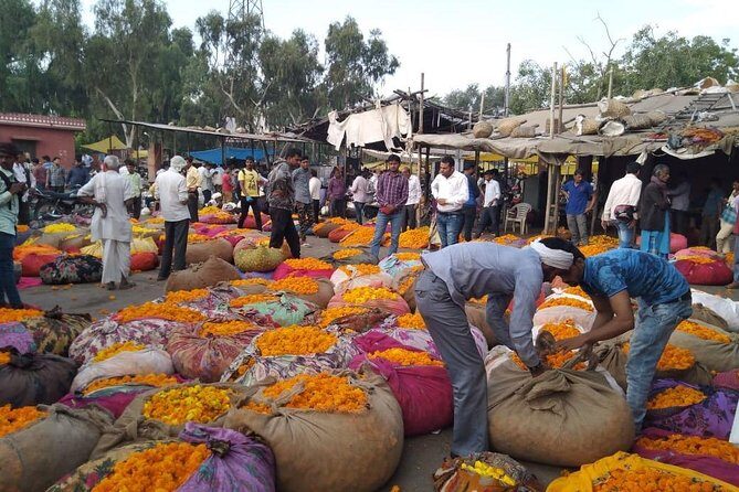 6-Day Private Tour of the Golden Triangle - An In-Depth Look at the 6-Day Golden Triangle Tour