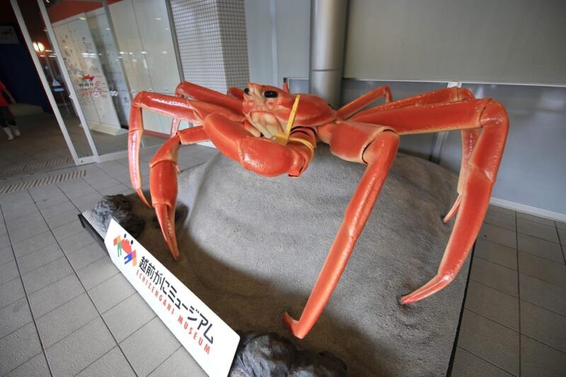 6-Day Private Tour to Kyoto via Fukui from Fukuoka with Bus - Final Thoughts