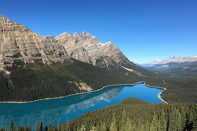 6-Day Rocky Mountaineer Train Tour, From Vancouver to Rockies - Price and Value