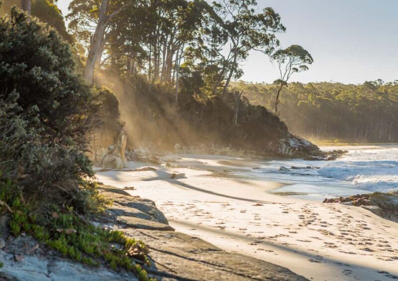 6 Day Tassie Tour Bundle: Island Icons - FAQ