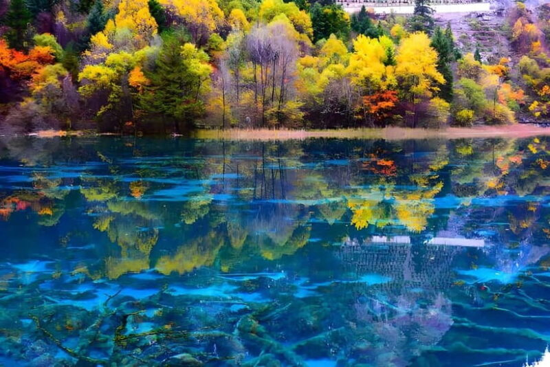 6 Day Tour Including Chengdu, Jiuzhaigou And Dagu Glacier - Practical Details: What’s Included and Considerations