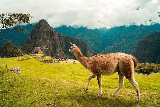 6-Day Tour of Cusco Magico-Machu Picchu-Rainbow Mountain - A Deep Dive into the 6-Day Cusco Magico-Machu Picchu-Rainbow Mountain Tour